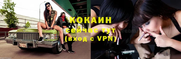 прущие грибы Абинск