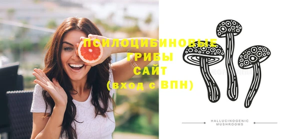 прущие грибы Абинск