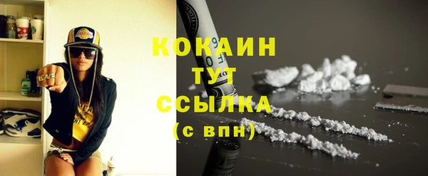 прущие грибы Абинск