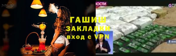 прущие грибы Абинск